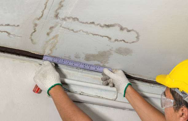 Reliable Mold Remediation contractor in Driftwood, TX by Water Damage Irwin